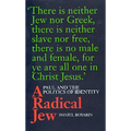 A Radical Jew: Paul and the Politics of Identity Volume 1