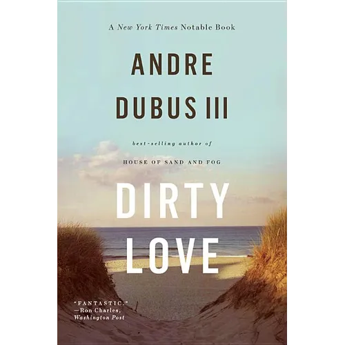 Dirty Love