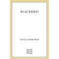 Blackbird