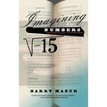 Imagining Numbers: (Particularly the Square Root of Minus Fifteen)