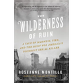 The Wilderness of Ruin: A Tale of Madness, Fire, and the Hunt for America's Youngest Serial Killer