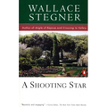 A Shooting Star