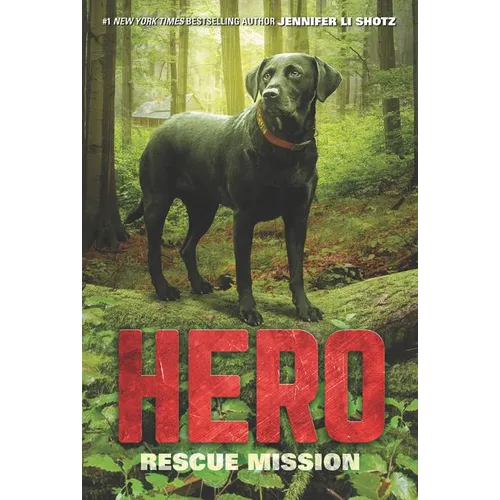 Hero: Rescue Mission