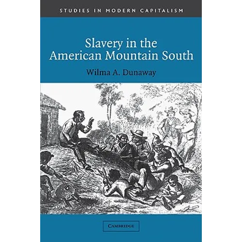Slavery in the American Mountain South