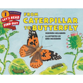 From Caterpillar to Butterfly