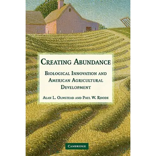 Creating Abundance