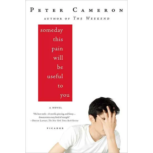 Someday This Pain Will Be Useful to You