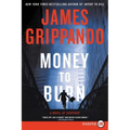Money to Burn: A Novel of Suspense