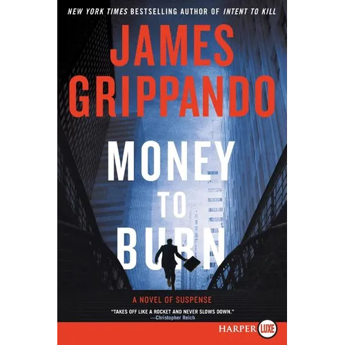 Money to Burn: A Novel of Suspense