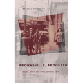 Brownsville, Brooklyn: Blacks, Jews, and the Changing Face of the Ghetto