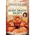 Chinese Cinderella and the Secret Dragon Society