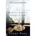 Frameless Windows, Squares of Light