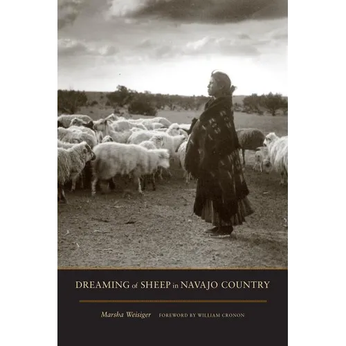 Dreaming of Sheep in Navajo Country