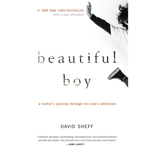 Beautiful Boy: A Father's Journey Through His Son's Addiction