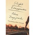 Slight Exaggeration: An Essay