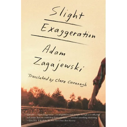 Slight Exaggeration: An Essay