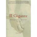 Il Gigante: Michelangelo, Florence, and the David 1492-1504
