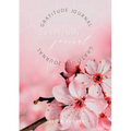 Gratitude Journal: Keep in the forefront of your mind gratitude and thankfulness
