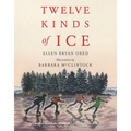Twelve Kinds of Ice