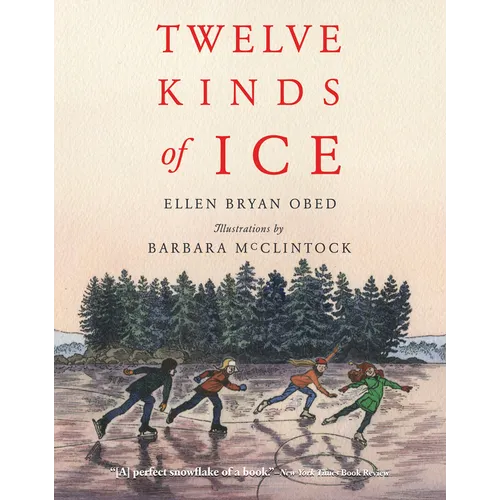 Twelve Kinds of Ice