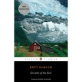 Growth of the Soil