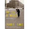The Life of Images: Selected Prose