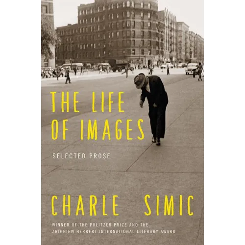The Life of Images: Selected Prose