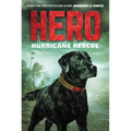 Hero: Hurricane Rescue