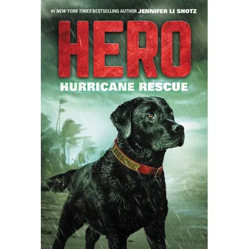 Hero: Hurricane Rescue