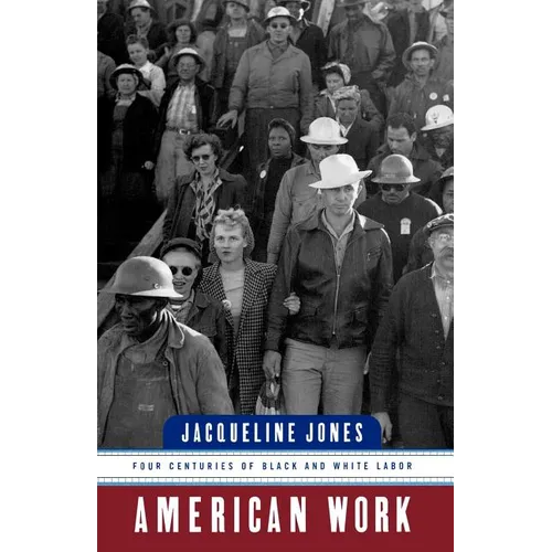American Work: Four Centuries of Black and White Labor