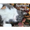 Spartacus the Cat