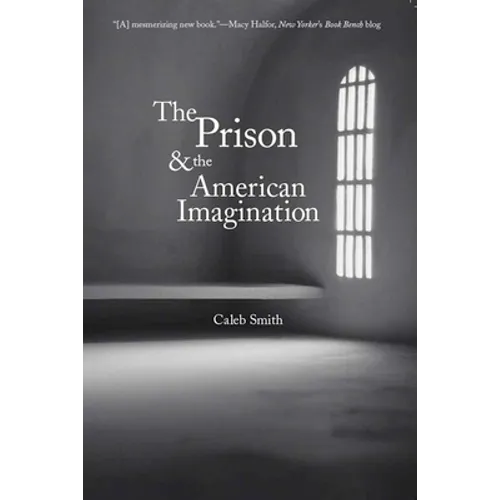 Prison and the American Imagination