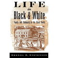 Life in Black and White: Family and Community in the Slave South