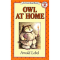 Owl at Home