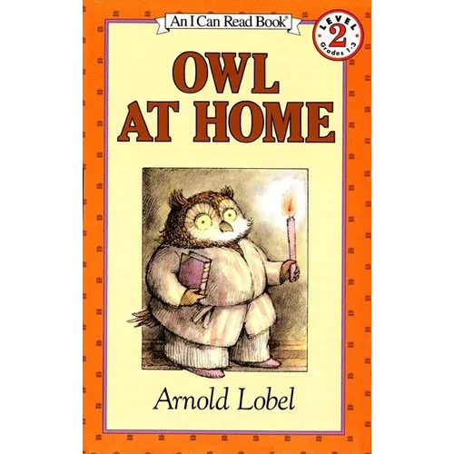 Owl at Home
