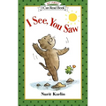 I See, You Saw