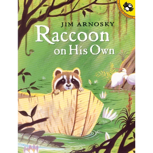 Raccoon on His Own