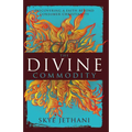 The Divine Commodity: Discovering a Faith Beyond Consumer Christianity