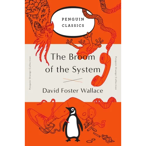The Broom of the System