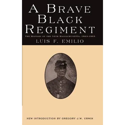 A Brave Black Regiment