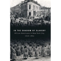 In the Shadow of Slavery: African Americans in New York City, 1626-1863