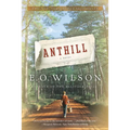 Anthill