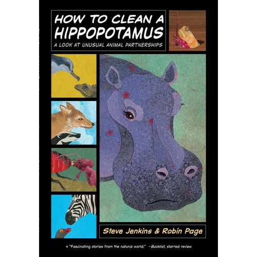 How to Clean a Hippopotamus: A Look at Unusual Animal Partnerships