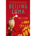 Beijing Coma