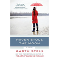 Raven Stole the Moon