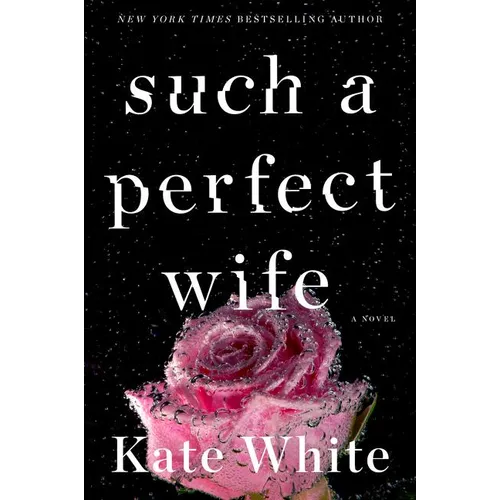 Such a Perfect Wife