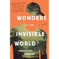 Wonders of the Invisible World