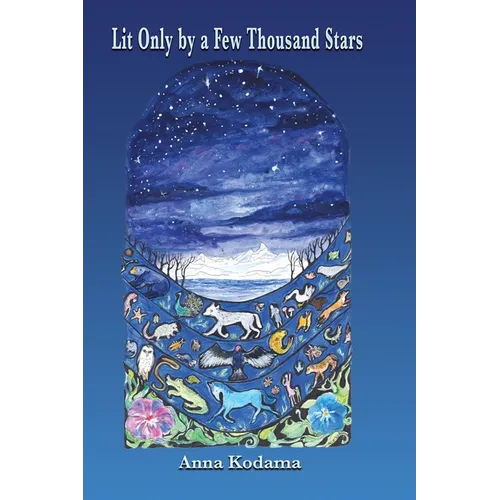 Lit Only by a Few Thousand Stars