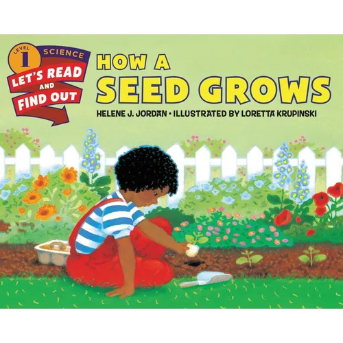 How a Seed Grows