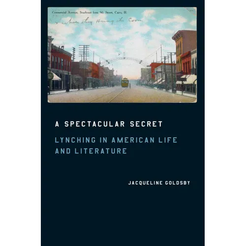 A Spectacular Secret: Lynching in American Life and Literature